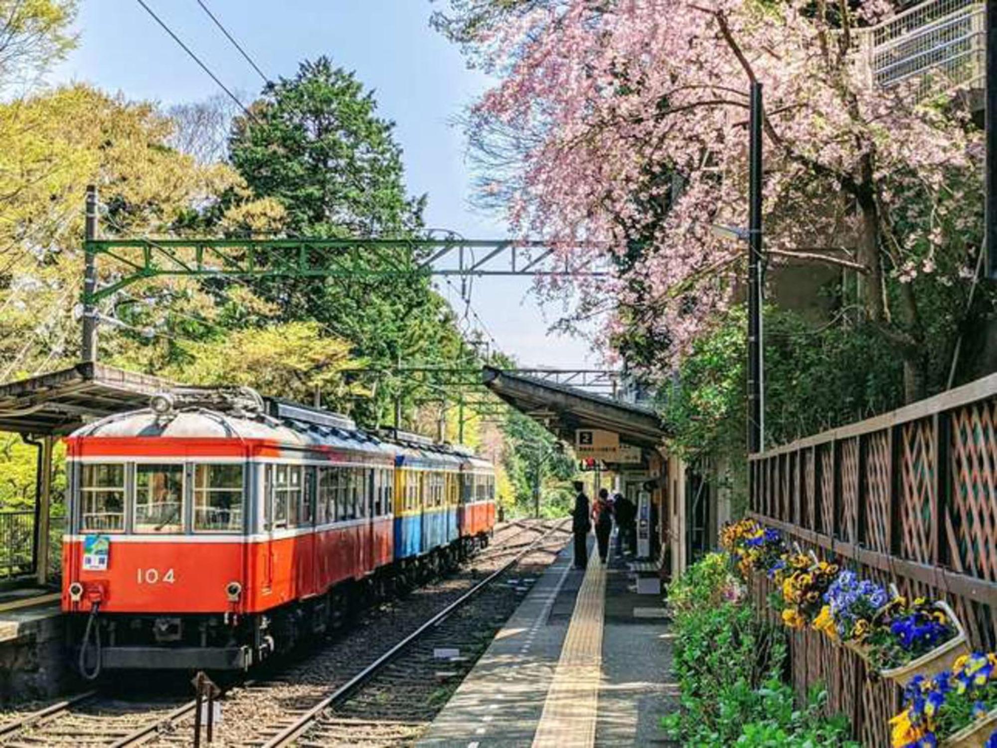 Hotel Morinokaze Hakone Sengokuhara Eksteriør bilde