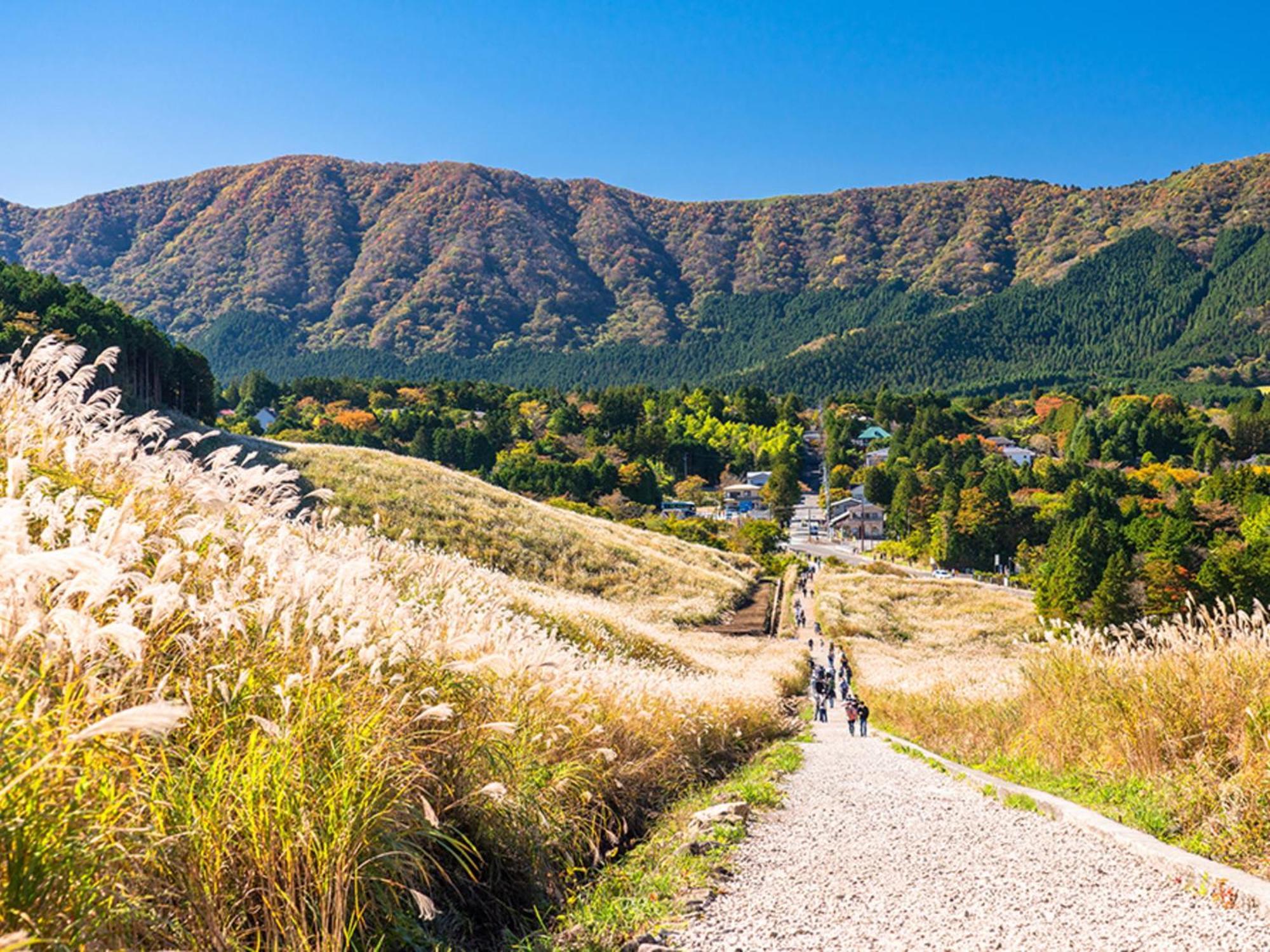 Hotel Morinokaze Hakone Sengokuhara Eksteriør bilde